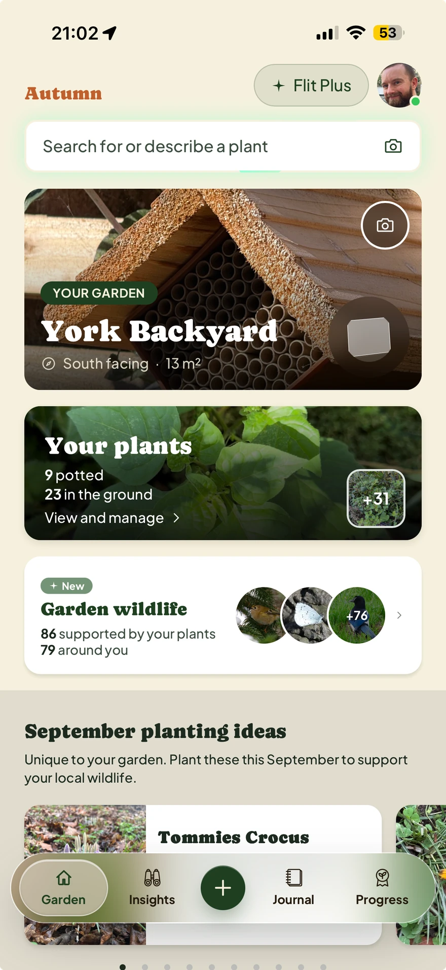 Flit's garden home showing York Backyard, its plant collection, garden wildlife and seasonal planting ideas.