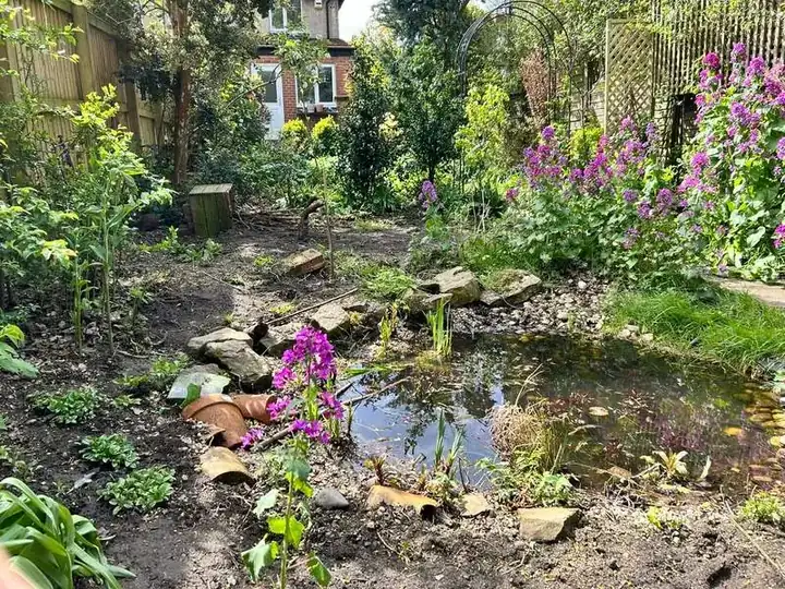 Jordan’s wildlife pond, surrounded by garden plants and flowers